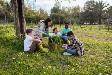 Sustainable Living, UAE, Bazaartrack