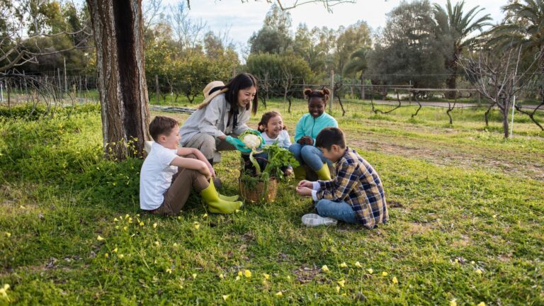 Sustainable Living, UAE, Bazaartrack